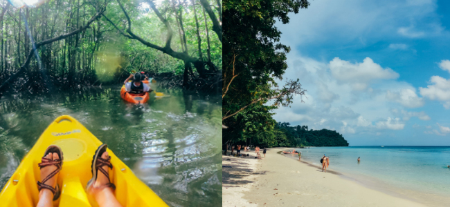 Kayaking amidst Mangrove Creeks