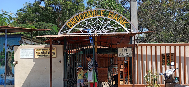 Explore Crocodile Bank