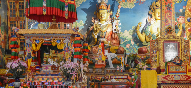 Experience Vibrant Buddha Jayanti